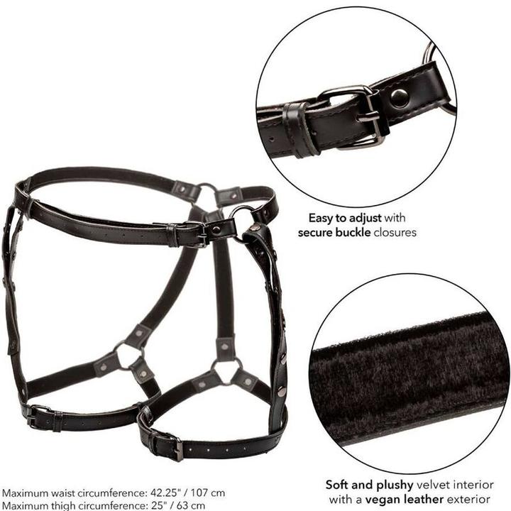 Image du produit CalExotics California Exotics - Harnais D'équitation Euphoria