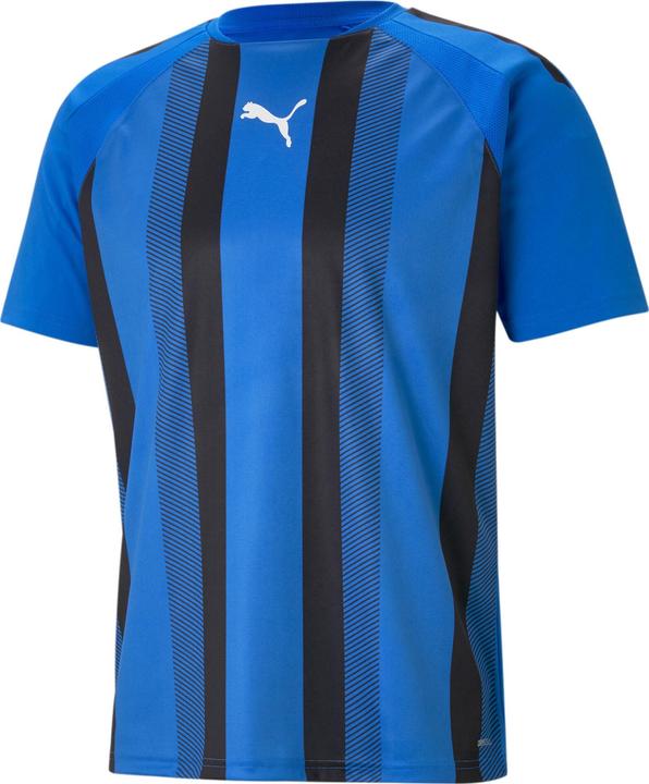 Produktbild Puma Team Liga Striped (XS)