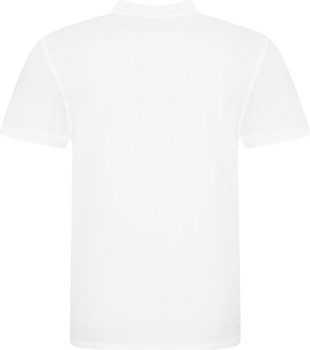 Actual product image Awdis Just Polo polo shirt (M)