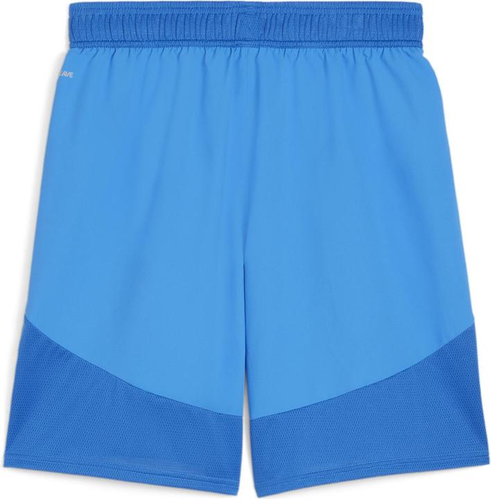 Image du produit Puma Short teamFINAL (XXL)