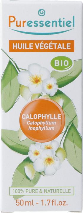 Produktbild Puressentiel Pflanzenöl Calophylle Bio Öl (Körpercreme, 50 ml)