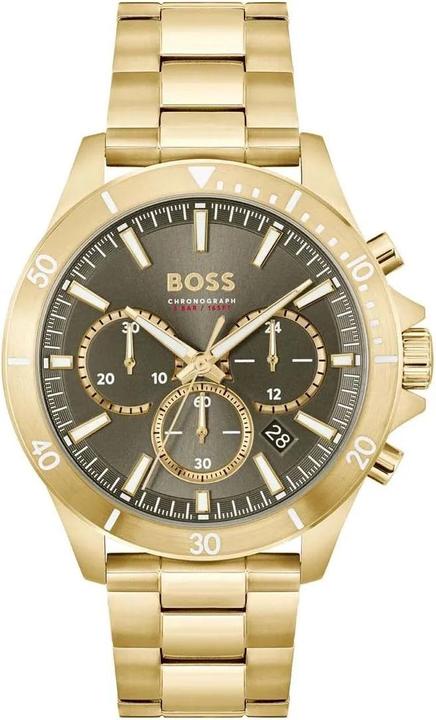 Hugo Boss Troper 1514059 (Chronographe, 210 mm)