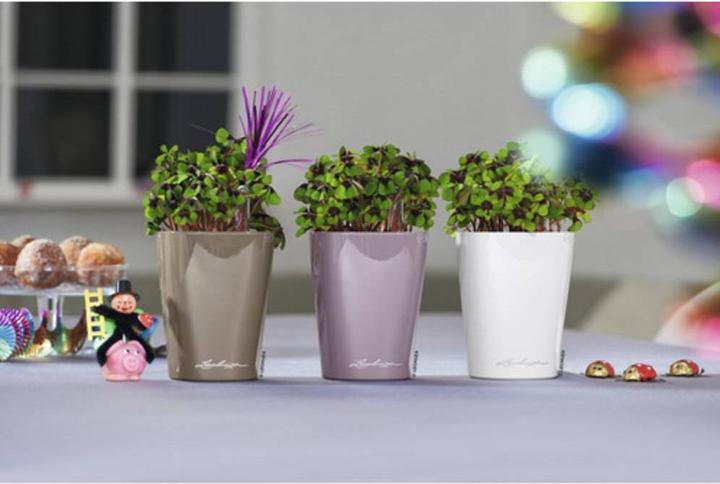Produktbild Lechuza Mini Deltini (10 cm)