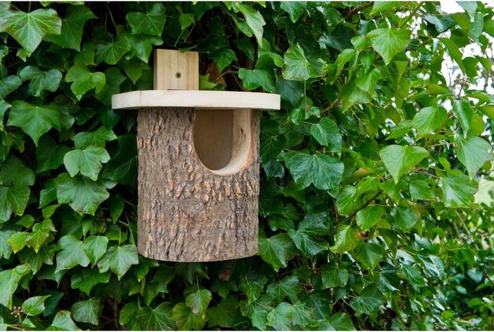 Actual product image Wildlife World Rotkehlchen