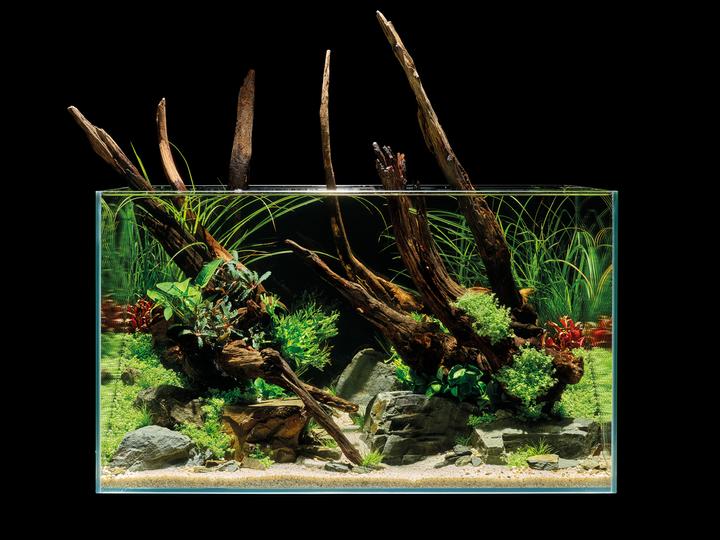 Image du produit Oase Aquarium ScaperLine 100, 250 l (250 l)