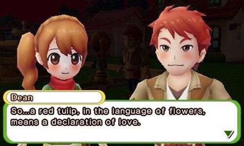 Immagine prodotto Nintendo Harvest Moon: Skytree Village (3DS)
