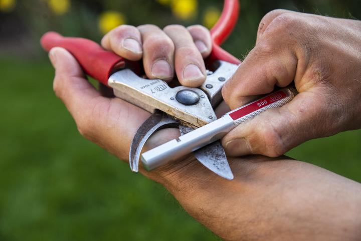 Actual product image Felco 905