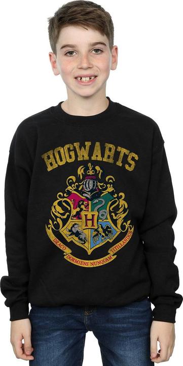 Image du produit - Sweat FILLED CREST VARSITY - Garçon (128)