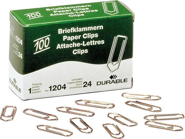 Actual product image Durable 120424 Paper clip (e) (1 x)