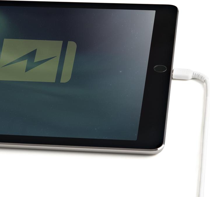 Image du produit StarTech USB A - Lightning (0.30 m, USB 2.0)