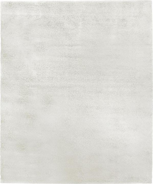 Image du produit Johann Jakob Louise (70 x 140 cm)