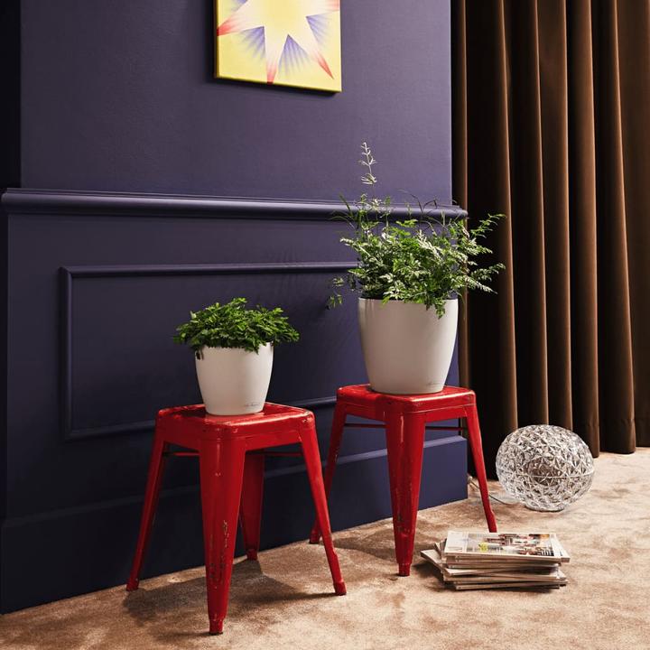 Immagine prodotto Lechuza Colore Classico (21.50 cm)