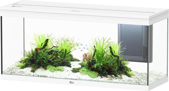 Image du produit Aquatlantis Aquarium Volga 240, blanc (240 l)