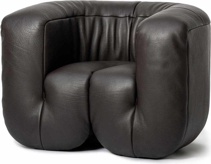 Image du produit De Sede Ds-707/01 Fauteuil
