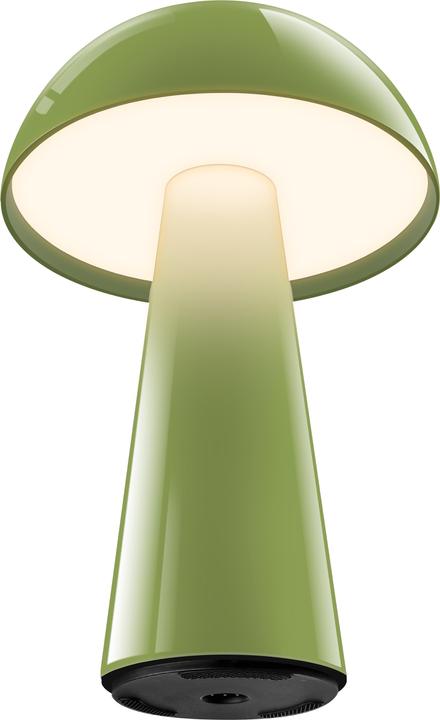 Image du produit Century LED Lampe de table COCO vert 1,5W 2700K 100 lumens Dimm. IP44 (100 lm)