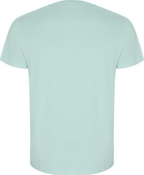 Actual product image Alpinia Mens Golden Plain Short-Sleeved T-Shirt (XXL)