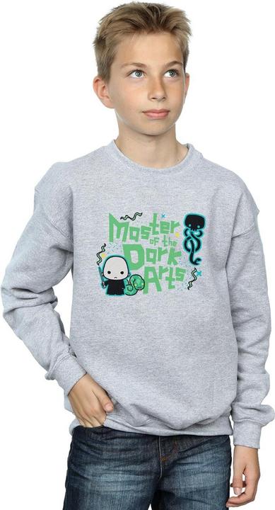Immagine prodotto Voldemort Dark Arts Junior Felpa Ragazzi (128)