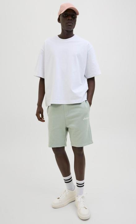 Immagine prodotto Jack & Jones Regular Fit Shorts Shorts (XS)