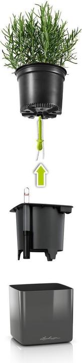 Image du produit Lechuza Pot de plante CUBE Titane brillant (14 cm)