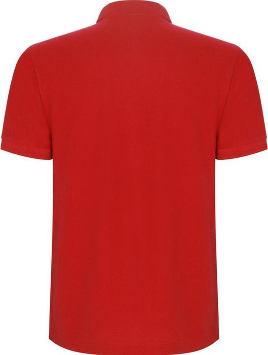 Immagine prodotto Alpinia Pegaso Premium Maglietta Polo Maniche Corte Bambini (116)