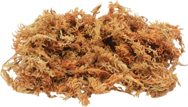 Image du produit Lucky Reptile Mousse pour terrarium Sphagnum