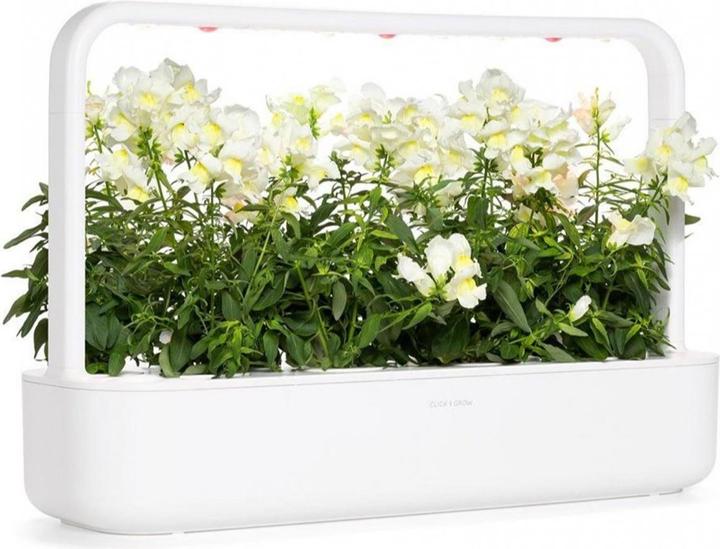 Image du produit Click and Grow Semences de gueules-de-loup blanches pack de 3