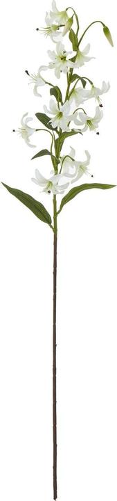 Actual product image Hill Interiors Turk's Cap Lily Spray Artificial Flower (82 cm)