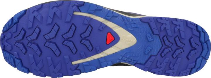 Produktbild Salomon XA PRO 3D V9 GTX - 60353 (42 2/3)