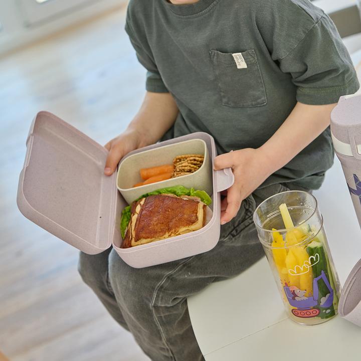 Actual product image Koziol Lunchbox Trucks