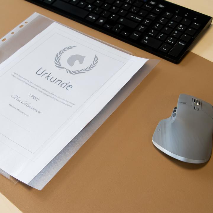 Actual product image Idena Document cover A4 10s grained 120µ (A4, 10 x)