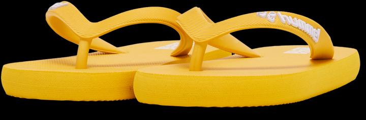 Image du produit hummel Flip Flop Jr (39)