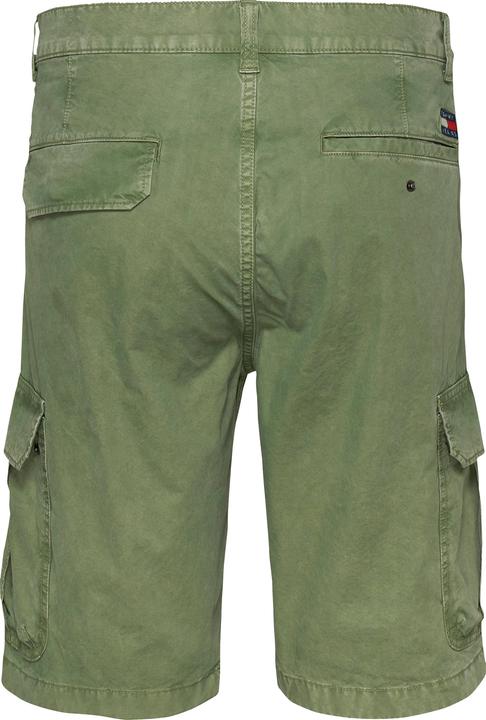 Image du produit Tommy Jeans 10021371 (W32)