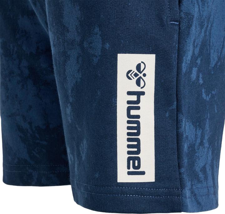 Actual product image hummel Hmljump Aop Shorts (146)