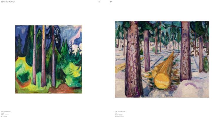 Actual product image Northern Lights (English, Mues Design, Louise Bannwarth, Ulf Küster for the Fondation Beyeler, London, Katerina Atanassova, Helga Christoffersen, Riehen / Basel, Anne-Maria Pennonen, Angela Lampe, 2025)