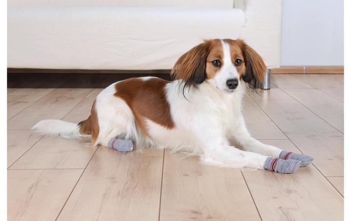 Immagine prodotto Trixie Calzini per cani (L, XL, Calzini per cani)