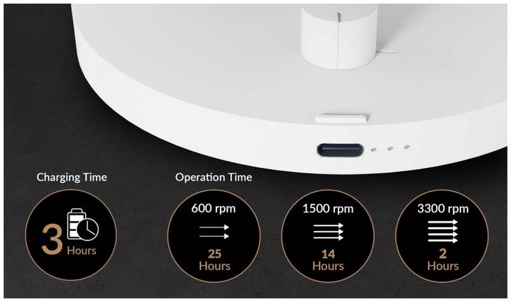 Actual product image Arctic Table fan