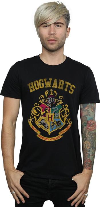 Actual product image Mens Hogwarts Varsity T-Shirt (4XL)