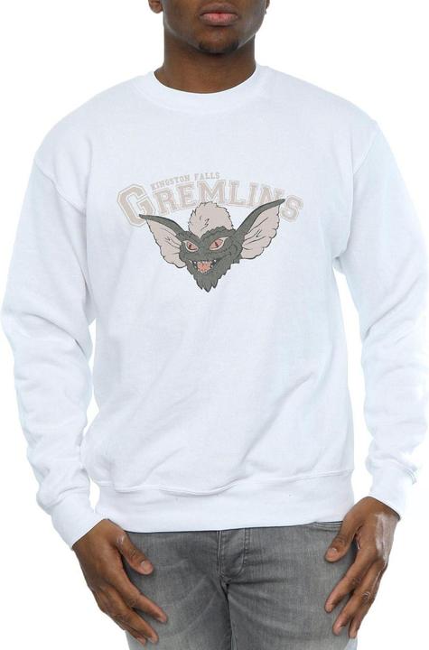 Actual product image Universal Textiles Mens Kingston Falls Sport Sweatshirt (S)