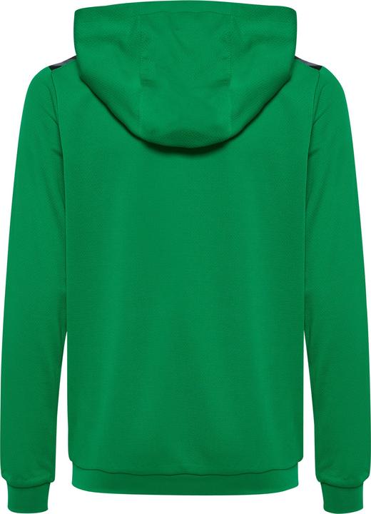 Actual product image hummel Hmlauthentic Pl Hoodie Kids (152)
