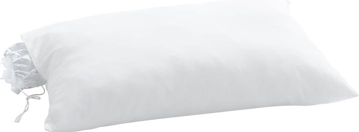 Immagine prodotto Billerbeck Clivia (65 x 65 cm)