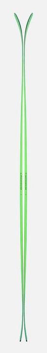 Actual product image Black Crows Navis Freebird (173 cm, Without binding)