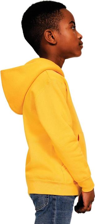 Actual product image Universal Textiles Childrens/Kids Blended Ringspun Cotton Hoodie (152, 158)