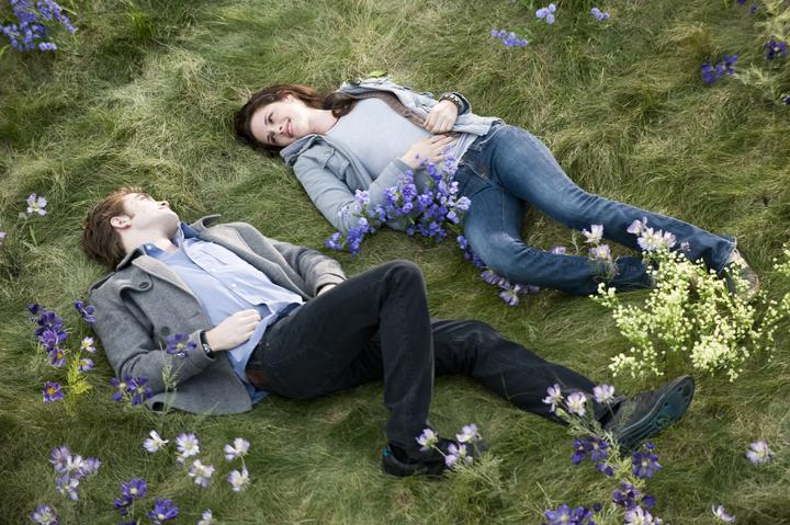 Image du produit Twilight New Moon (DVD, 2011, Anglais, Allemand)