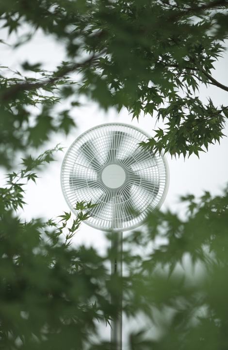 Actual product image Xiaomi Smartmi Pedestal Fan 3 (58 dB)