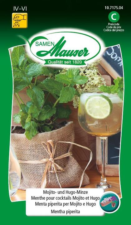 Immagine prodotto Samen Mauser Mojito e Hugo Mint (Semi di erbe)