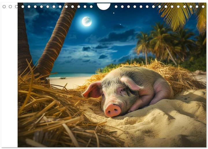 Produktbild Schweinereien in der Karibik. Sonne und Spa mit schwimmenden Schweinen (Wandkalender 2025 DIN A (A4, Kein Einband, Deutsch)