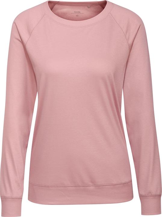 bocciolo di rosa