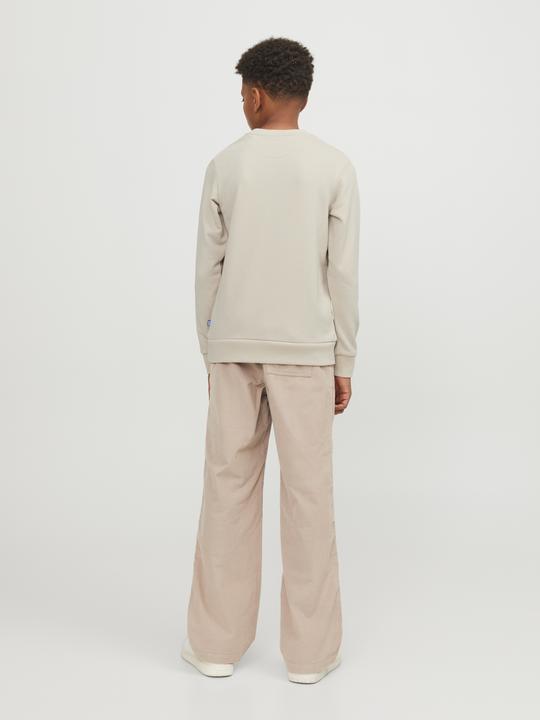 Actual product image Jack & Jones Boys Sweatshirt (164)