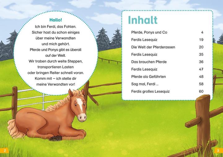 Immagine prodotto Tessloff WAS IST WAS Erstes Lesen Band 7. Pferde und Ponys (Tedesco, Cristina Marrone, Annelie Stenzel, 2019)