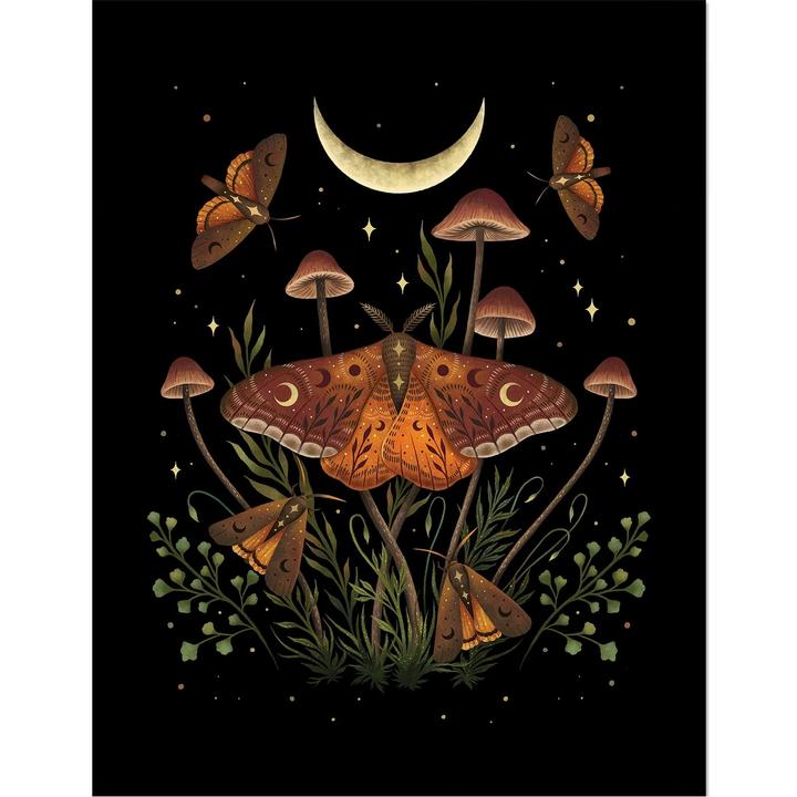 Actual product image Episodic Drawing Autumn Light Underwings Framed Poster (45 x 35 cm)